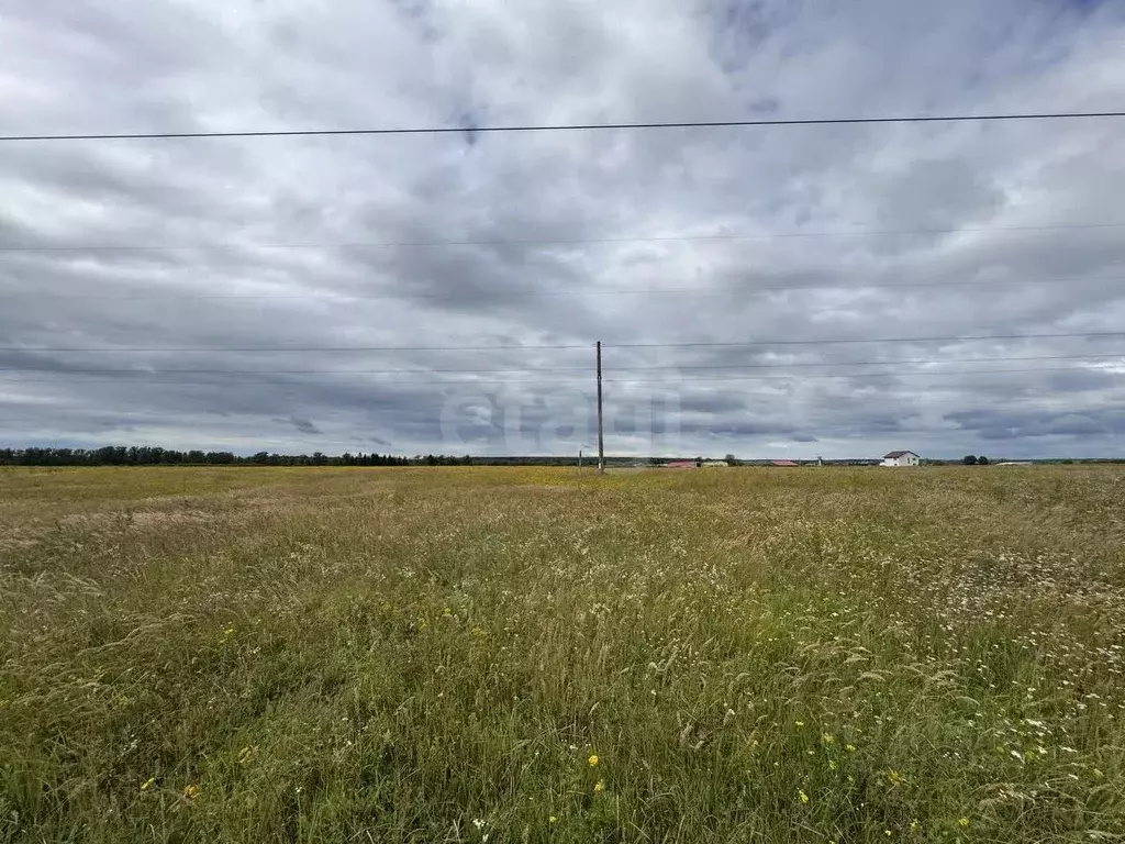 Участок в Калужская область, Малоярославецкий район, Воробьево с/пос, ... - Фото 1
