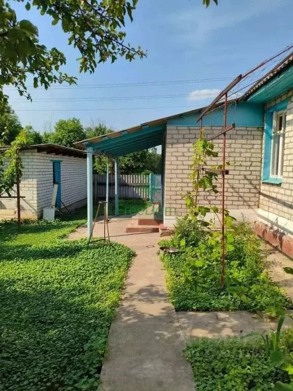 Дом в Белгородская область, Вейделевский муниципальный округ, с. ... - Фото 2