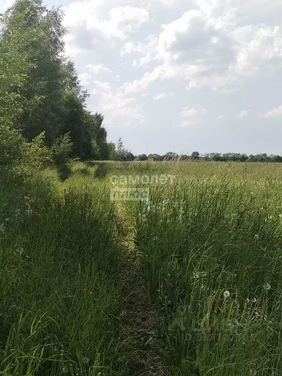 Участок в Костромская область, Кострома Сусанинская пл. (12.0 сот.) - Фото 1