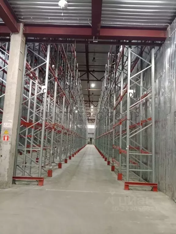 Склад в Московская область, Домодедово Востряково мкр, ул. Рябиновая, ... - Фото 2