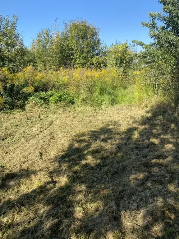 Участок в Нижегородская область, Городецкий муниципальный округ, с. ... - Фото 1