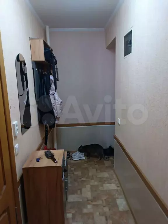 2-к. квартира, 44,3 м, 2/3 эт. - Фото 1