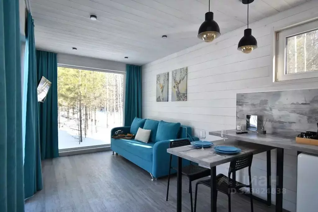 Дом в Красноярский край, Емельяново пгт  (40 м) - Фото 2