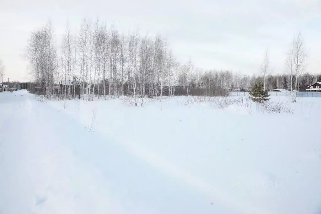 Участок в Тюменская область, Нижнетавдинский муниципальный округ, пос. ... - Фото 2