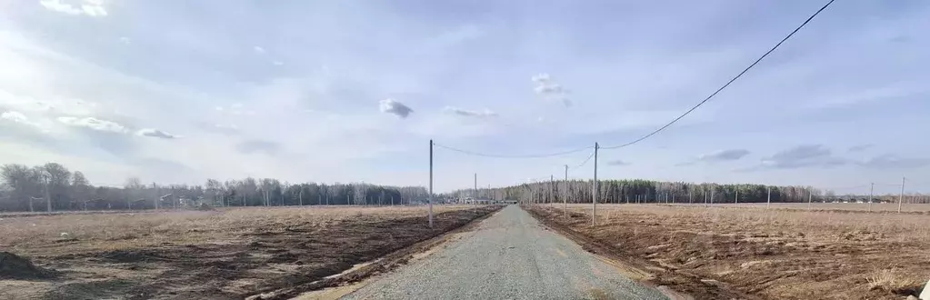 Участок в Алтайский край, Первомайский район, с. Фирсово, Рощино мкр ... - Фото 2