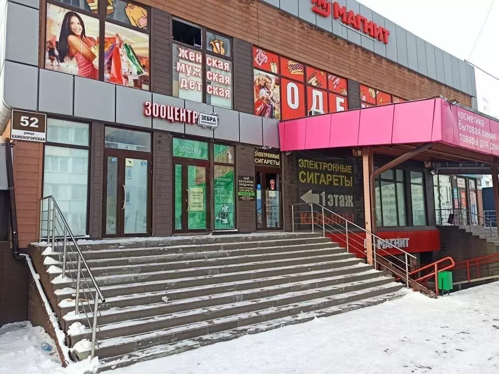 Помещение свободного назначения в Новосибирская область, Новосибирск ... - Фото 1