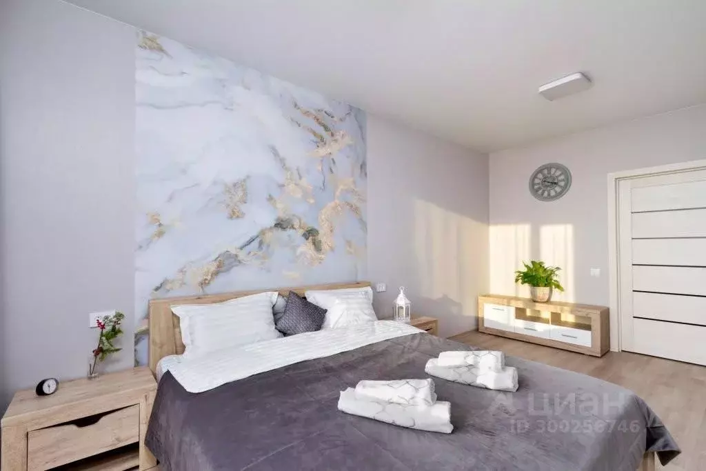 1-к кв. Новосибирская область, Новосибирск ул. Кирова, 11 (39.0 м) - Фото 1