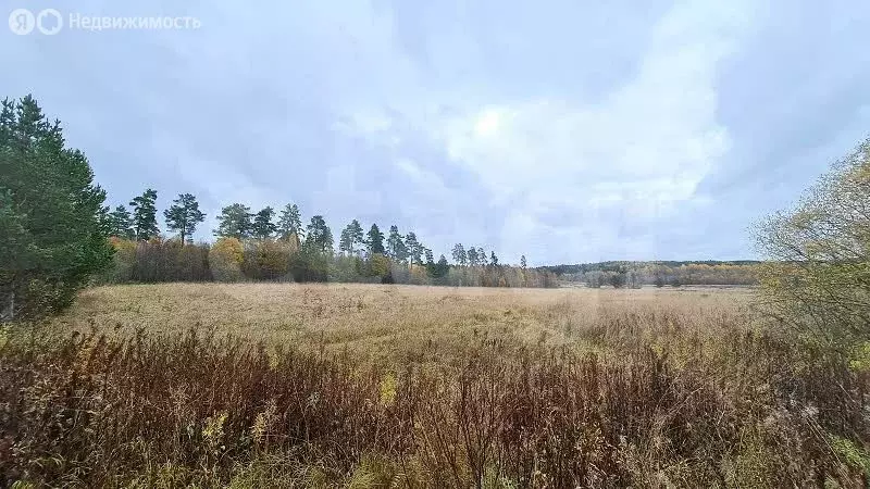 Участок в Выборгский район, Светогорск (263.4 м) - Фото 2