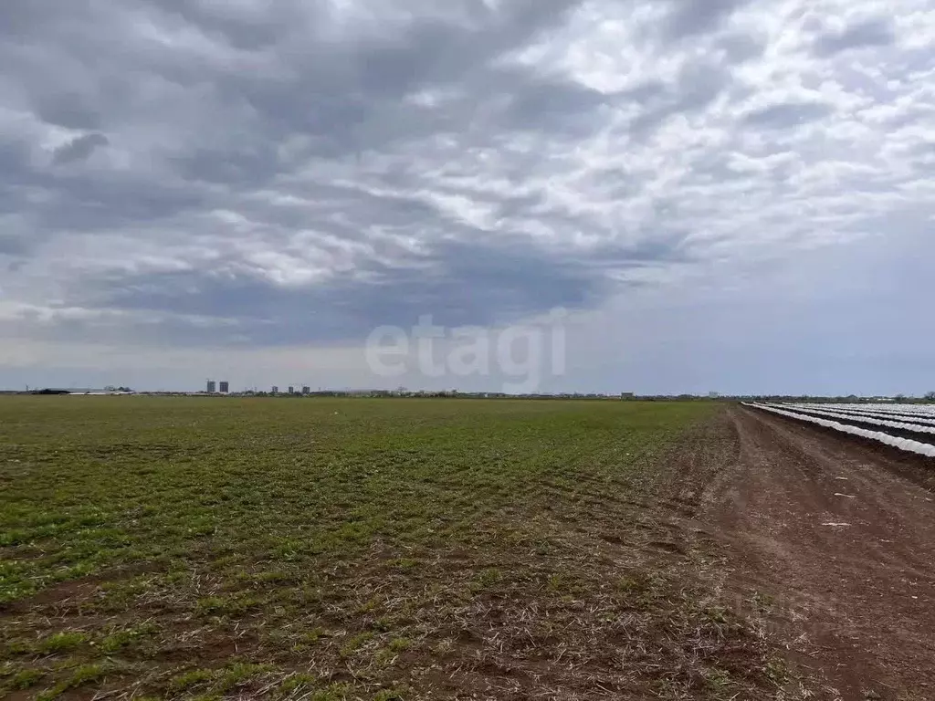 Участок в Крым, Сакский район, с. Уютное  (458.0 сот.) - Фото 1