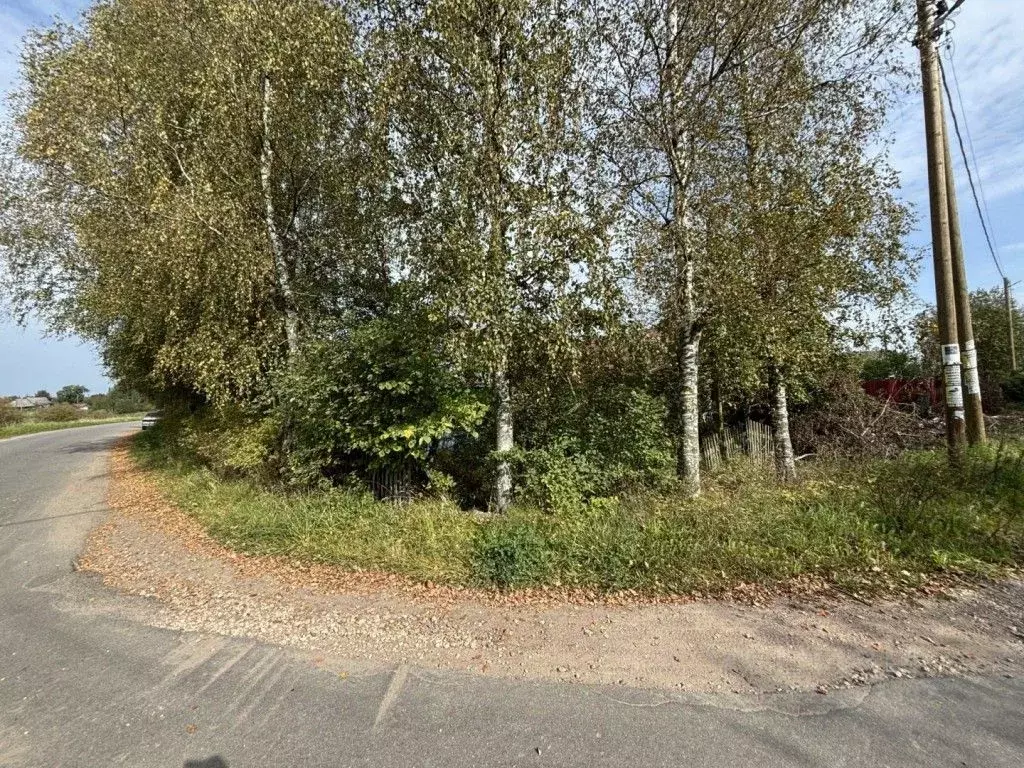 Участок в Ленинградская область, Гатчинский муниципальный округ, д. ... - Фото 2