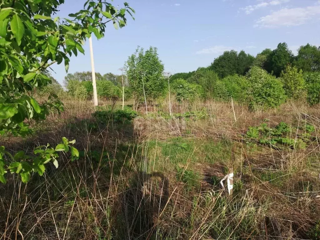 Участок в Тульская область, Тула  (12.0 сот.) - Фото 1