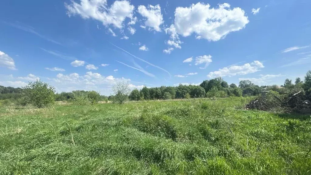 Участок в Московская область, Ступино городской округ, д. Шелково  ... - Фото 1