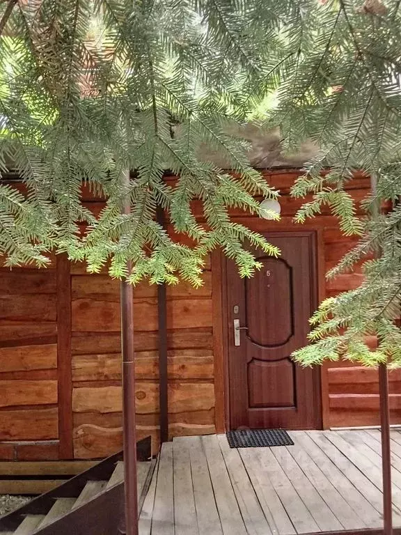 Комната Карачаево-Черкесия, Зеленчукский район, с. Архыз ул. ... - Фото 2