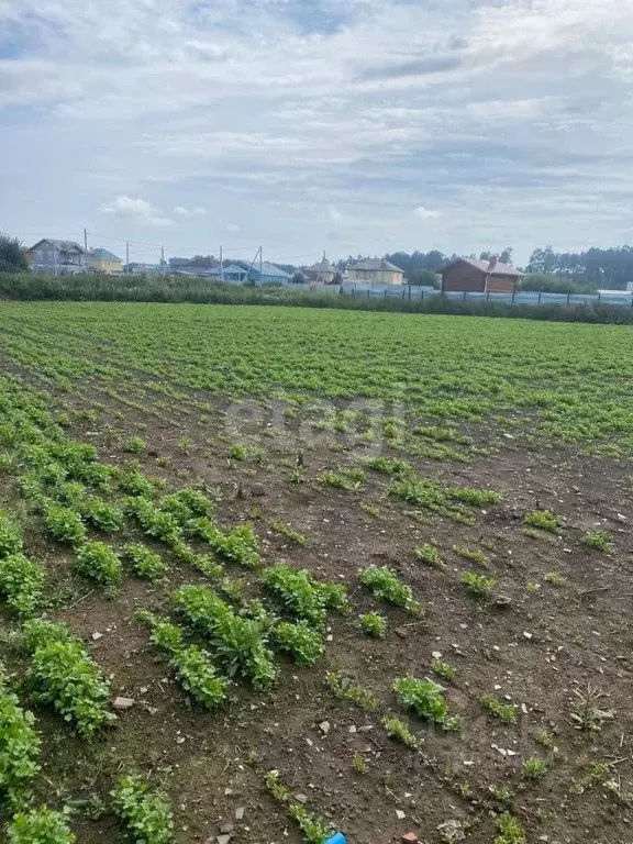 Участок в Свердловская область, Екатеринбург муниципальное ... - Фото 0