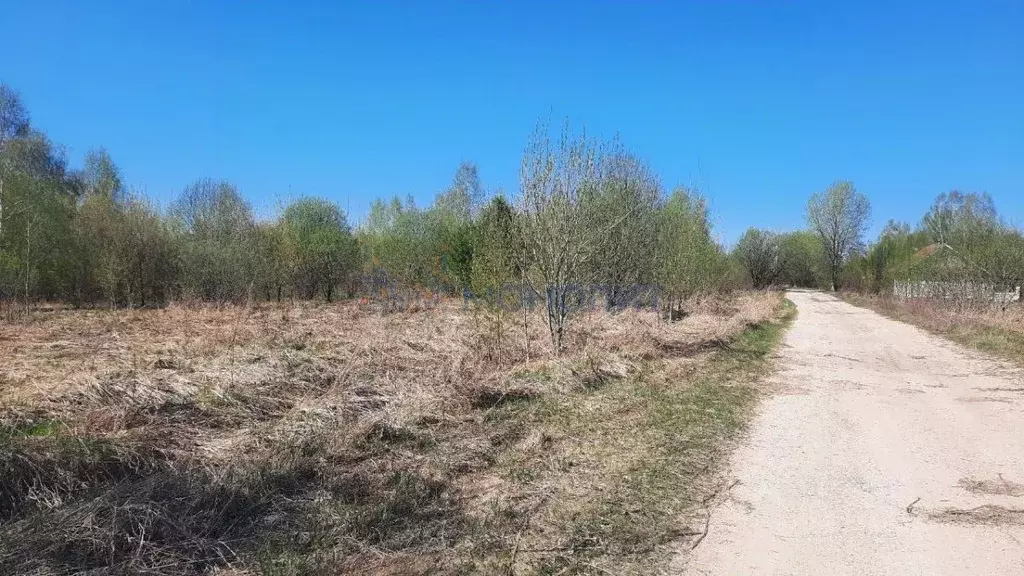 Участок в Нижегородская область, Лысковский район, с. Великовское ул. ... - Фото 0