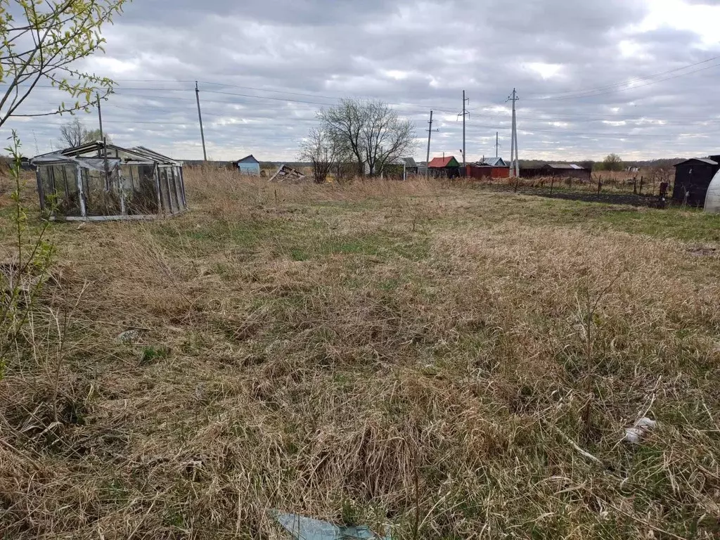Участок в Новосибирская область, Новосибирский район, с. Криводановка  ... - Фото 0