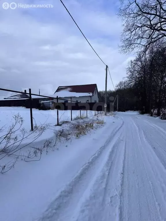 Участок в Калининградская область, Зеленоградский муниципальный округ, ... - Фото 2