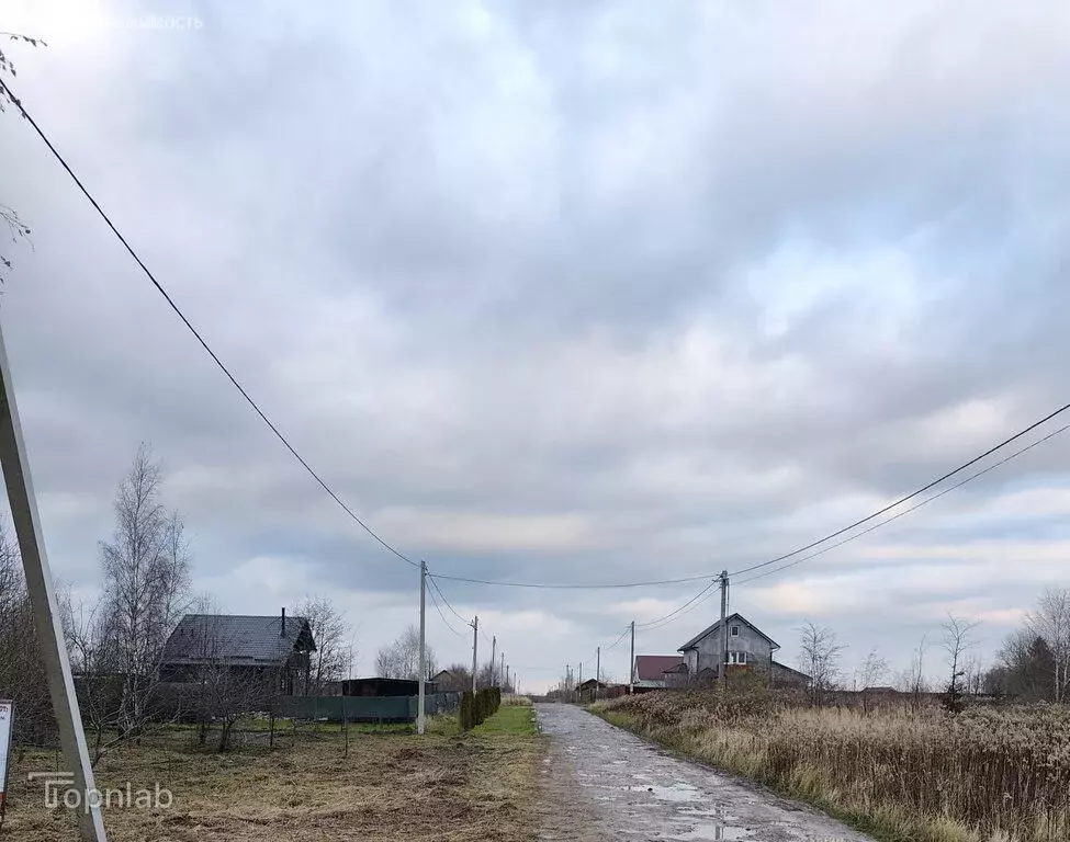 Участок в Калининградская область, Зеленоградский муниципальный округ, ... - Фото 1