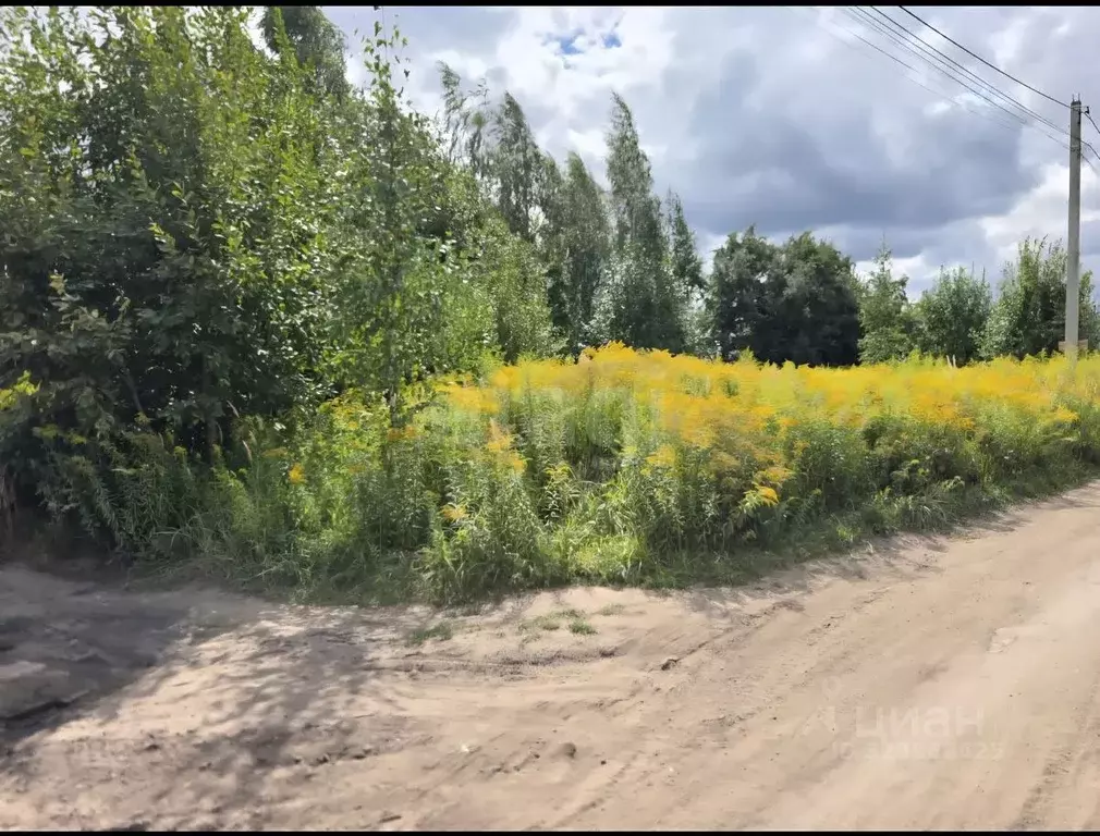 Участок в Брянская область, Брянский район, Снежское с/пос, с. ... - Фото 2