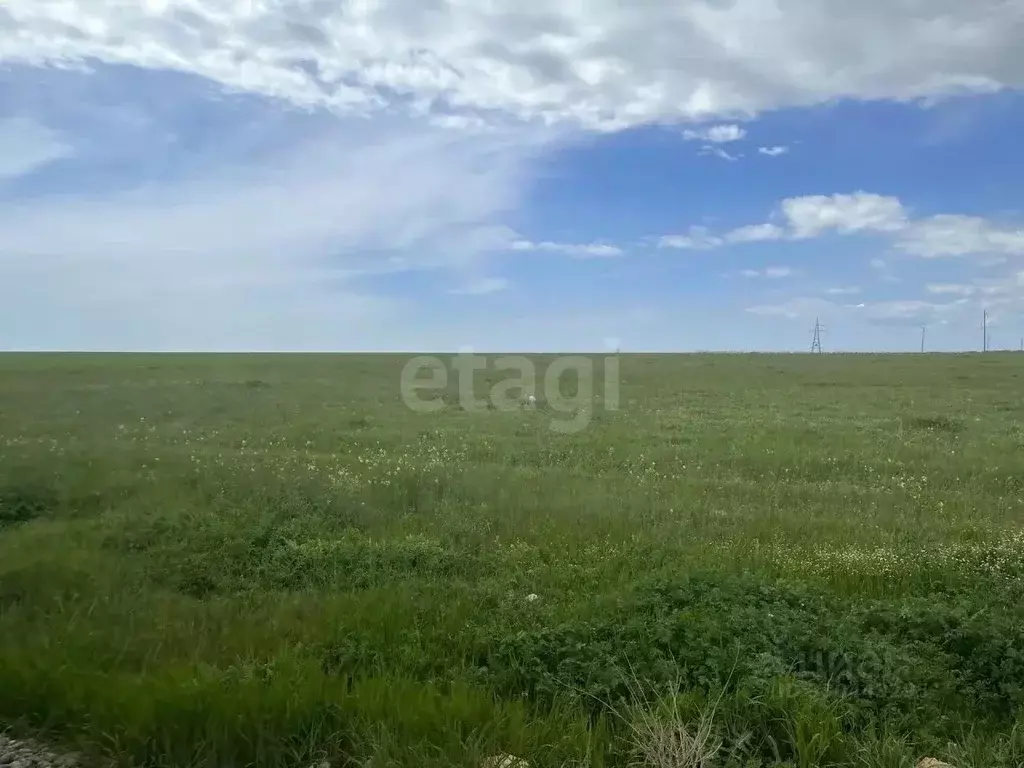 Участок в Крым, Сакский район, с. Уютное  (458.0 сот.) - Фото 1