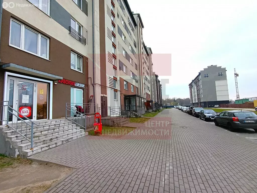 Помещение свободного назначения (663.9 м) - Фото 2