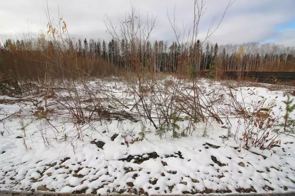 Участок в Свердловская область, Горноуральский городской округ, с. ... - Фото 1