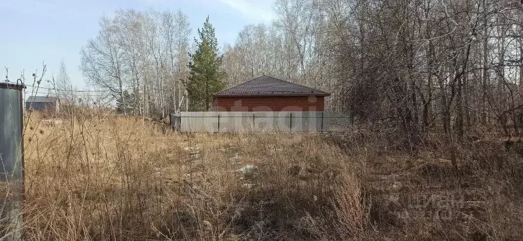 Участок в Тюменская область, Тюмень Поляна садовое общество,  (6.56 ... - Фото 1