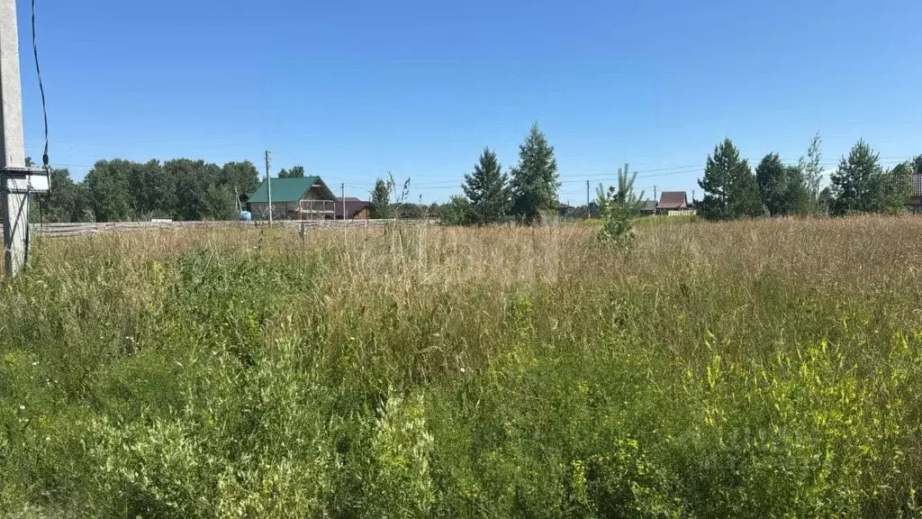 Участок в Новосибирская область, Искитимский район, Быстровский ... - Фото 1