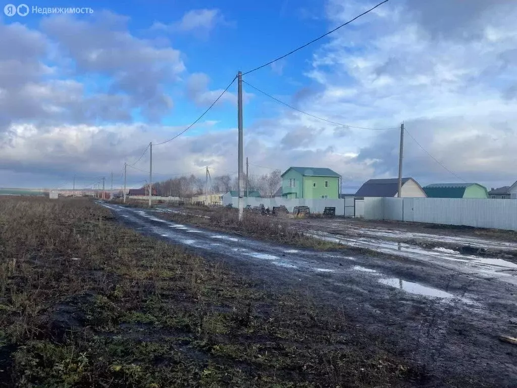 Участок в Лямбирский район, Берсеневское сельское поселение, село ... - Фото 0