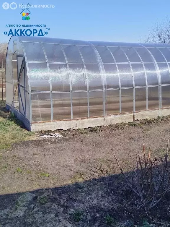 Дом в Косихинский район, посёлок Логовое, Центральная улица (40 м) - Фото 1