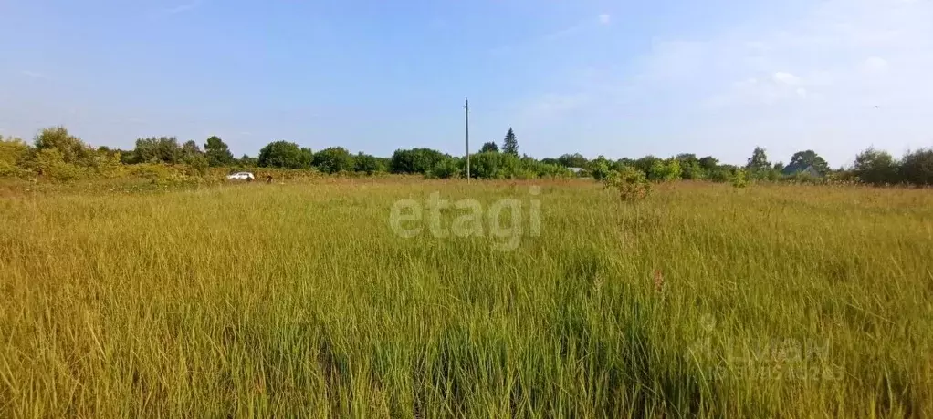 Участок в Владимирская область, Муром с. Борисоглеб,  (15.1 сот.) - Фото 1