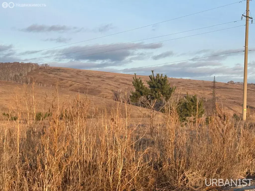 Участок в Берёзовский район, Зыковский сельсовет, село Зыково (8 м) - Фото 1