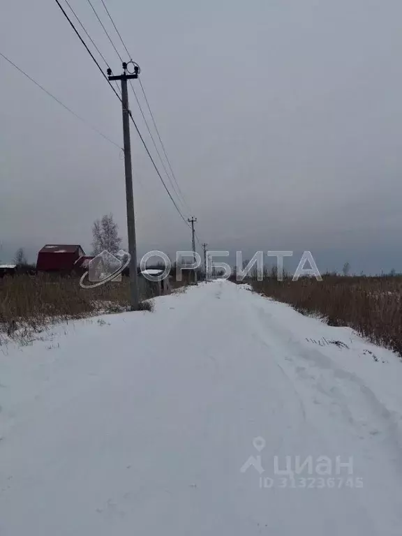 Участок в Тюменская область, Тюмень Поле Чудес садовое товарищество, ... - Фото 1