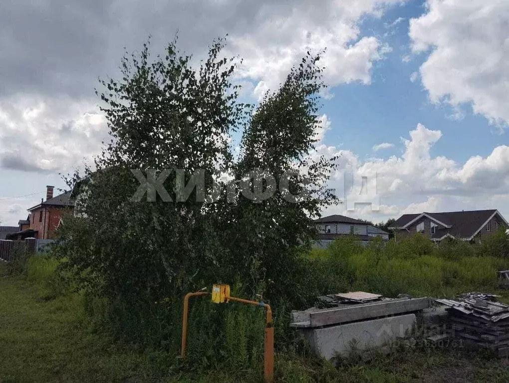 Участок в Новосибирская область, Новосибирский район, Каменский ... - Фото 2