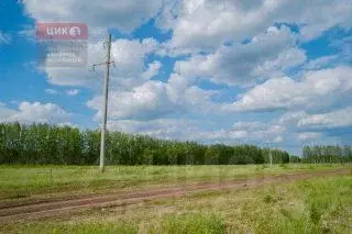 Участок в Рязанская область, Рязанский муниципальный округ, д. ... - Фото 1