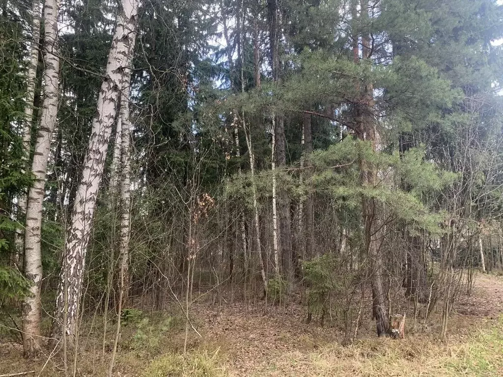 Участок в Московская область, Солнечногорск городской округ, пос. ... - Фото 0