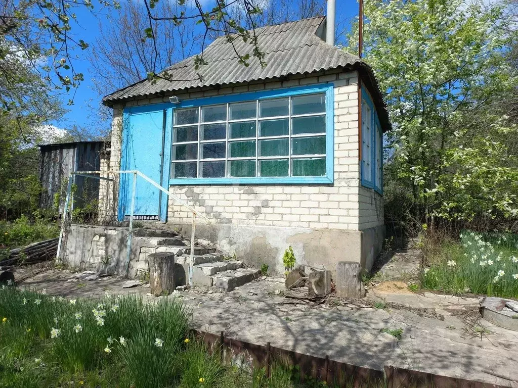 Дом в Белгородская область, Белгородский район, Ериковское с/пос, ... - Фото 0