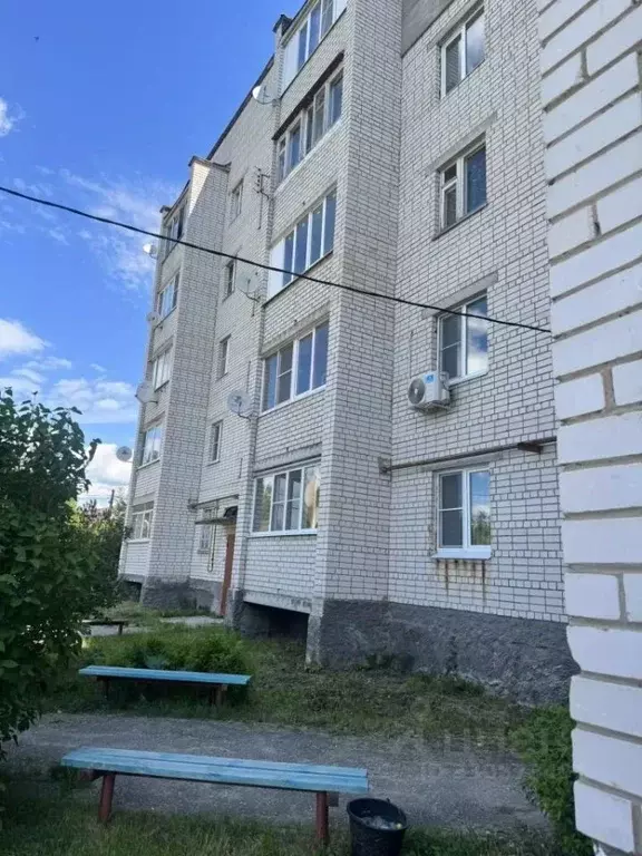 3-к кв. Владимирская область, Петушки Филинский пер., 9 (60.5 м) - Фото 1