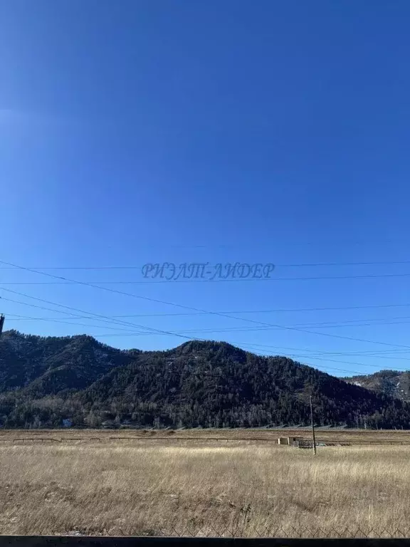 Участок в Алтай, Чемальский район, с. Анос Центральная ул. (11.0 сот.) - Фото 2