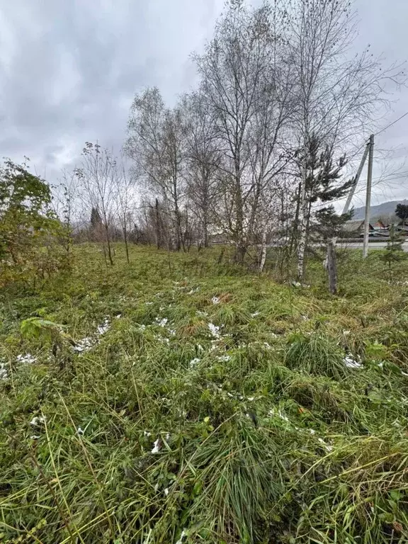 Участок в Алтай, Майминский район Р-256 Чуйский тракт, 457-й км (15.0 ... - Фото 1
