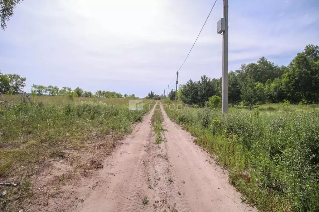 Участок в Алтайский край, Барнаул городской округ, пос. Ягодное ул. ... - Фото 1