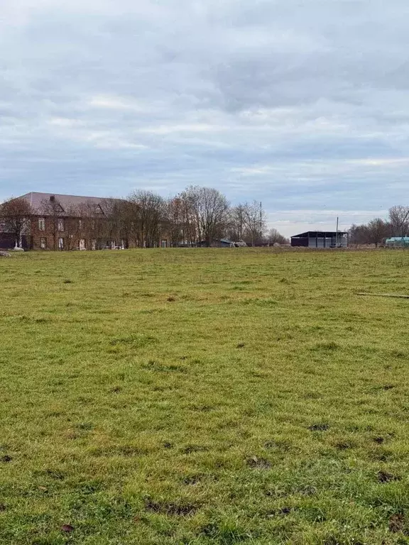 Участок в Ленинградская область, Гатчинский муниципальный округ, д. ... - Фото 1