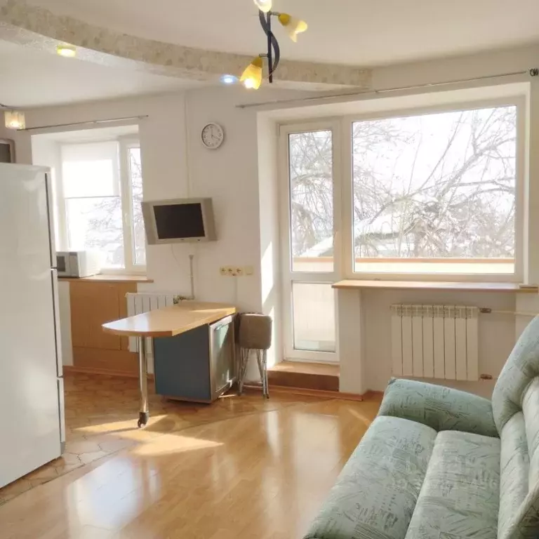 Студия Волгоградская область, Волгоград ул. Елисеева, 8 (30.5 м) - Фото 1