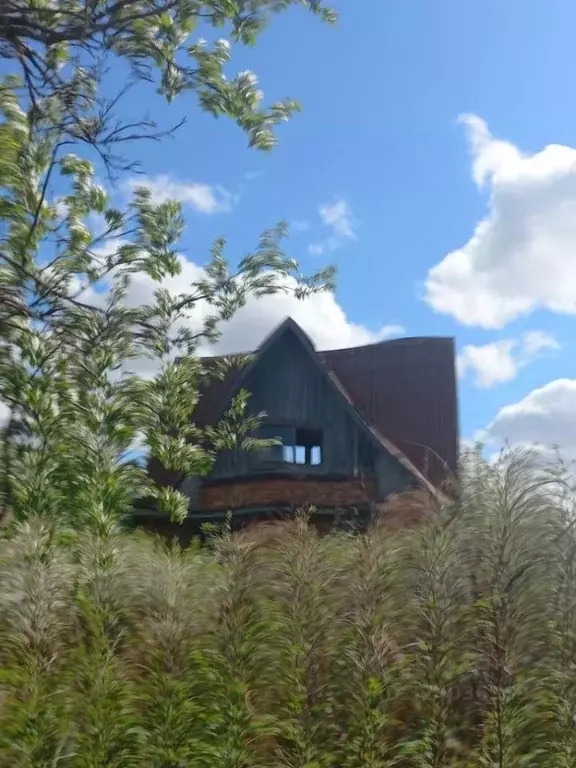 Дом в Омская область, Омск Пищевик СНТ, аллея 1-я, 29 (30 м) - Фото 2