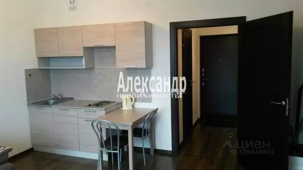 Студия Санкт-Петербург Кондратьевский просп., 68к4 (28.0 м) - Фото 1