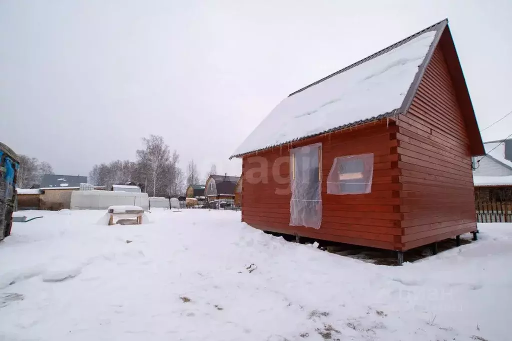 Дом в Новосибирская область, Новосибирский район, Толмачевский ... - Фото 0