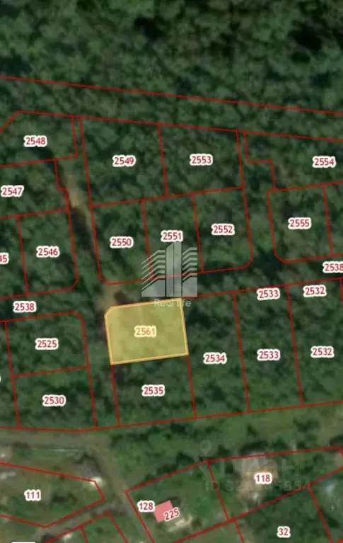 Участок в Московская область, Домодедово городской округ, д. ... - Фото 2