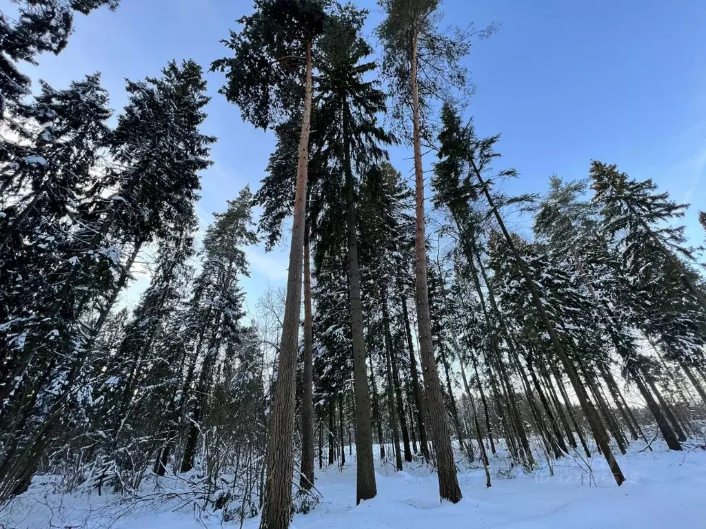 Участок в Московская область, Одинцовский городской округ, д. Фуньково ... - Фото 2