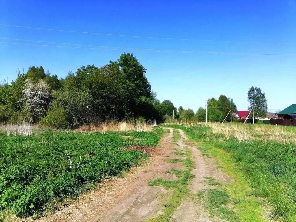Участок в Владимирская область, Киржачский муниципальный округ, д. ... - Фото 1