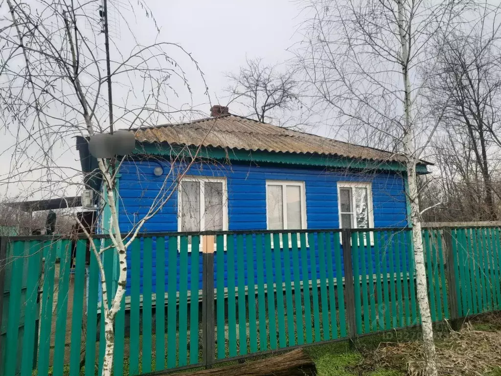 Дом в Ростовская область, Азовский район, с. Александровка  (58 м) - Фото 1